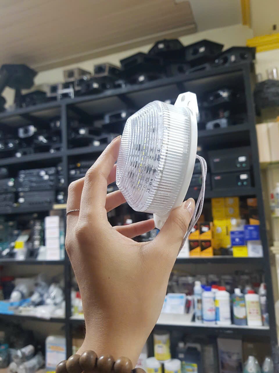 BÓNG CHỚP MÀU - CHỚP CÚ NHÀ YẾN