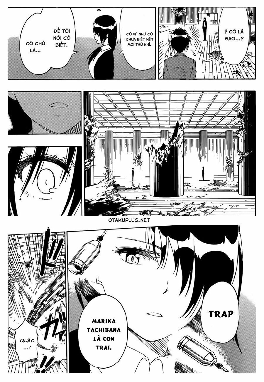nisekoi - tình yêu giả tạo chapter 185 24