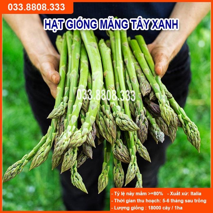 Hạt Giống Măng Tây Xanh - gói 1g