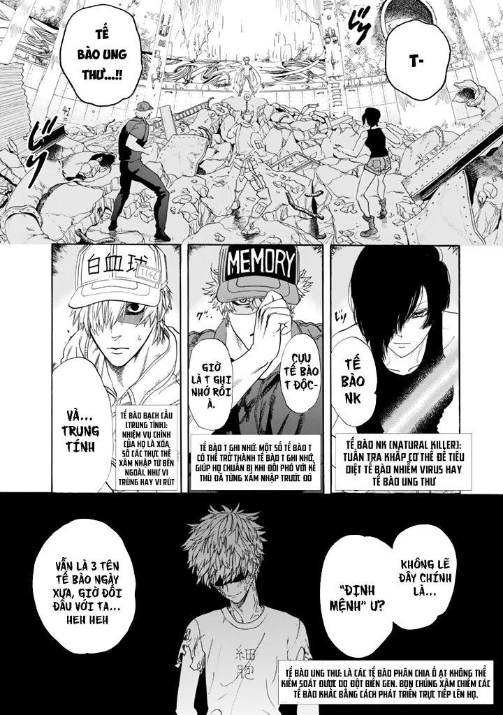 hataraku saibou! chapter 24 1