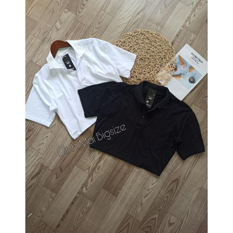 Áo croptop có cổ bigsize 60-95kg