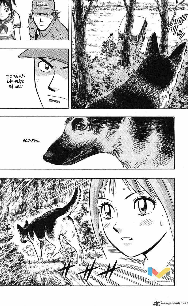 animal sense chapter 12 20