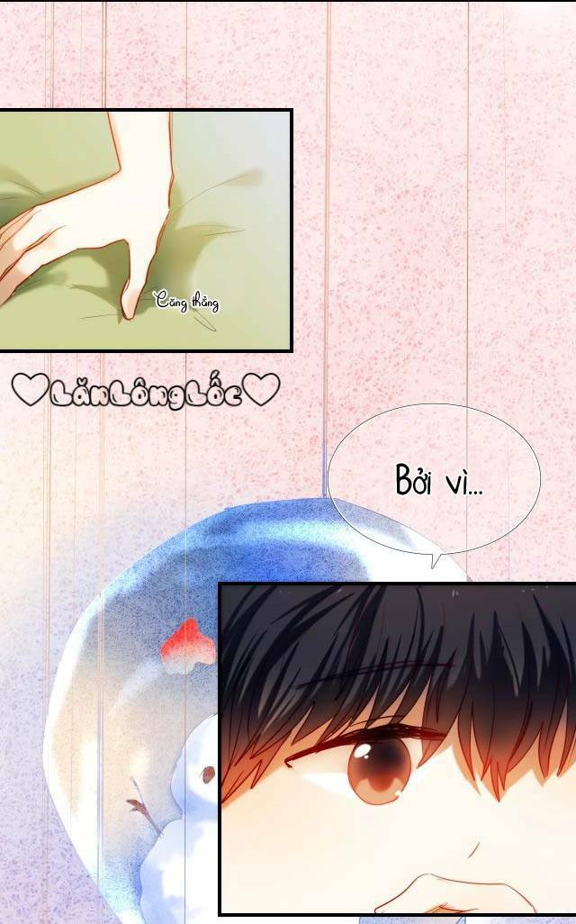 kế hoạch trái tim chapter 52 36