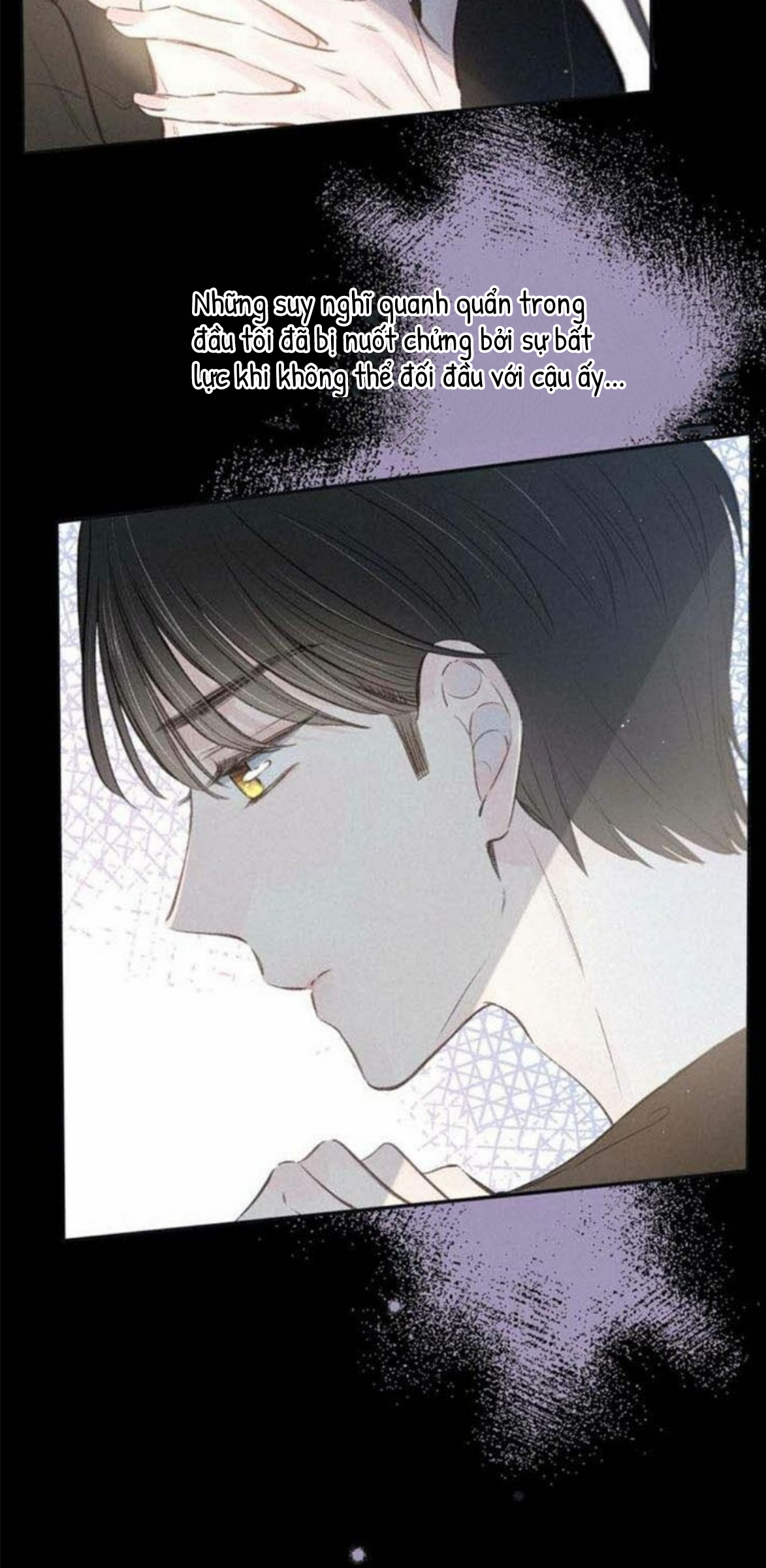 nỗi buồn của hoa cẩm tú cầu chapter 19 19