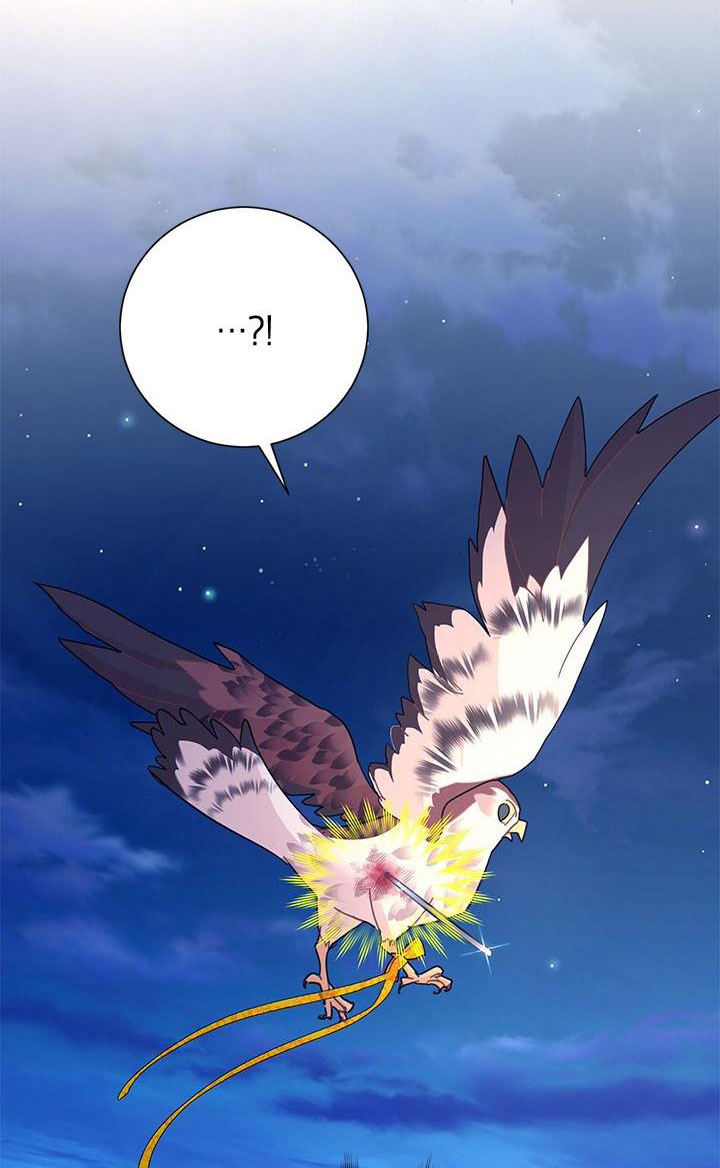 công chúa của loài chim chapter 38.1 3