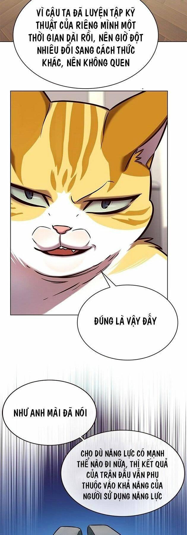 biến thân thành mèo chapter 218 47