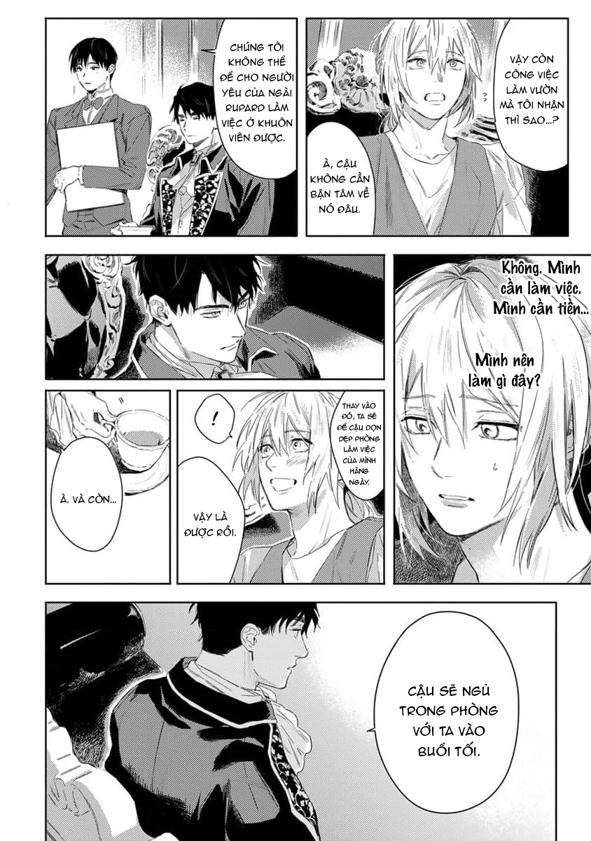 tình yêu hoa hồng dại chapter 1 28