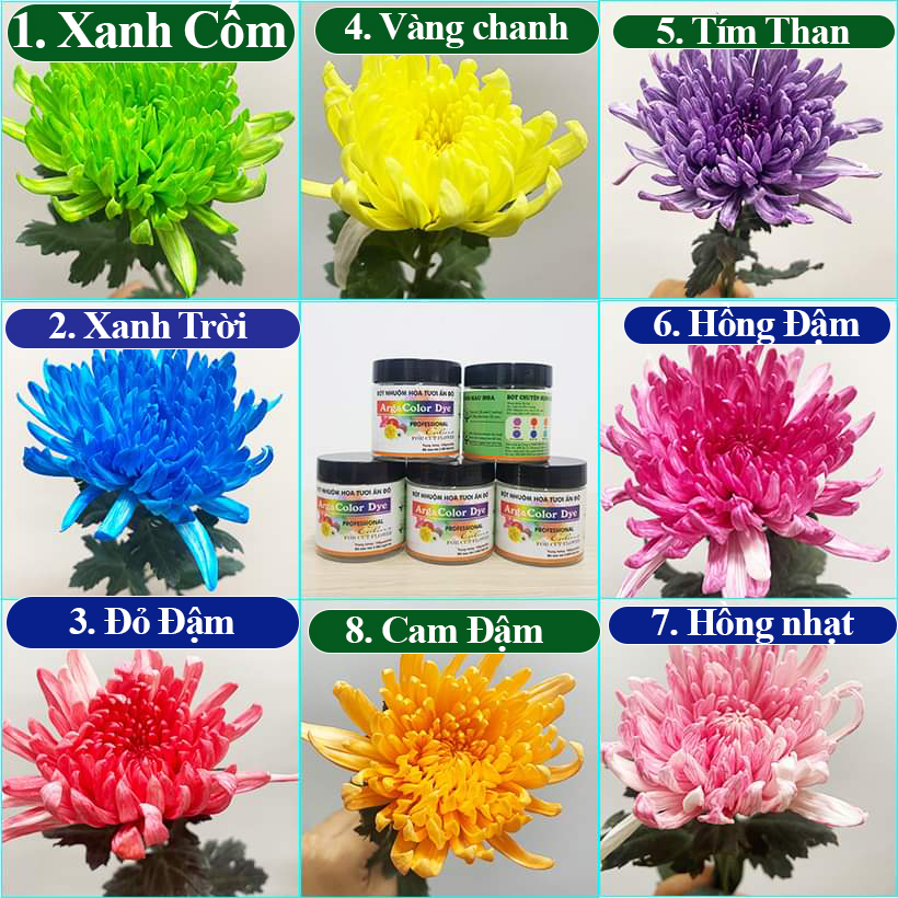 Bột Màu Nhuộm Hoa Chuyên Dụng cho Hoa Tươi Nhập Khẩu Ấn Độ tiện vận chuyển xa