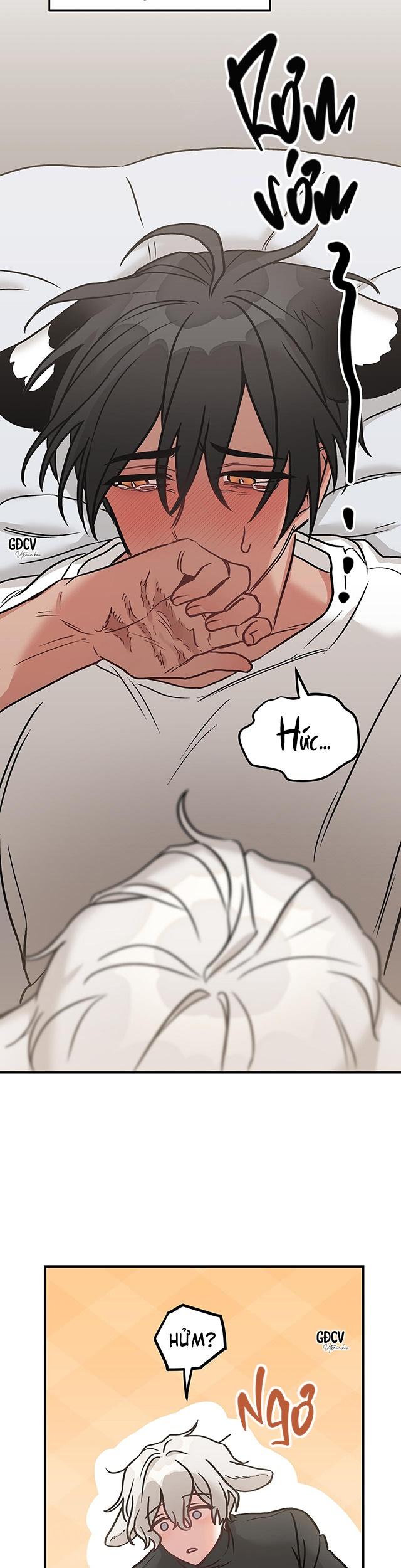 thưa ngài hổ, tôi đã ăn rất ngon miệng chapter 2 3