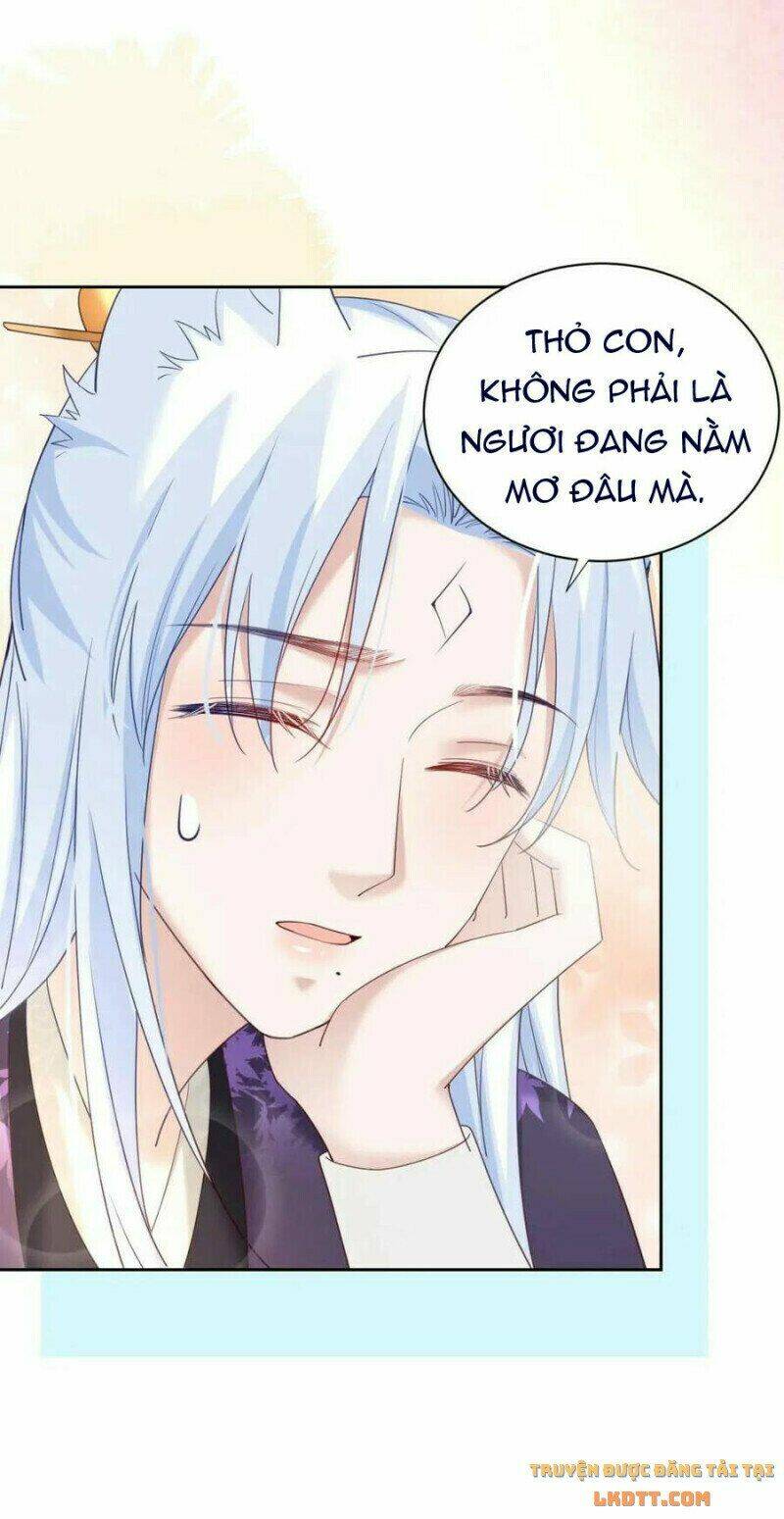 hắc hóa nam chính trực tuyến nuôi thỏ chapter 59 36