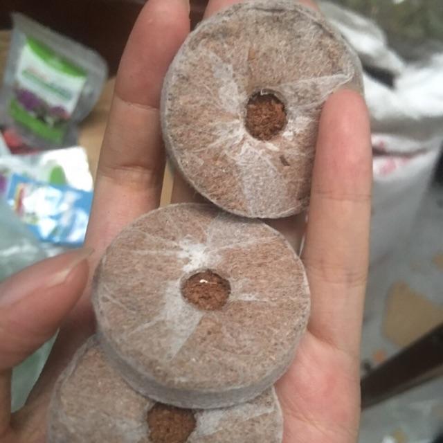 Viên nén sơ dừa hàng đẹp 50 viên