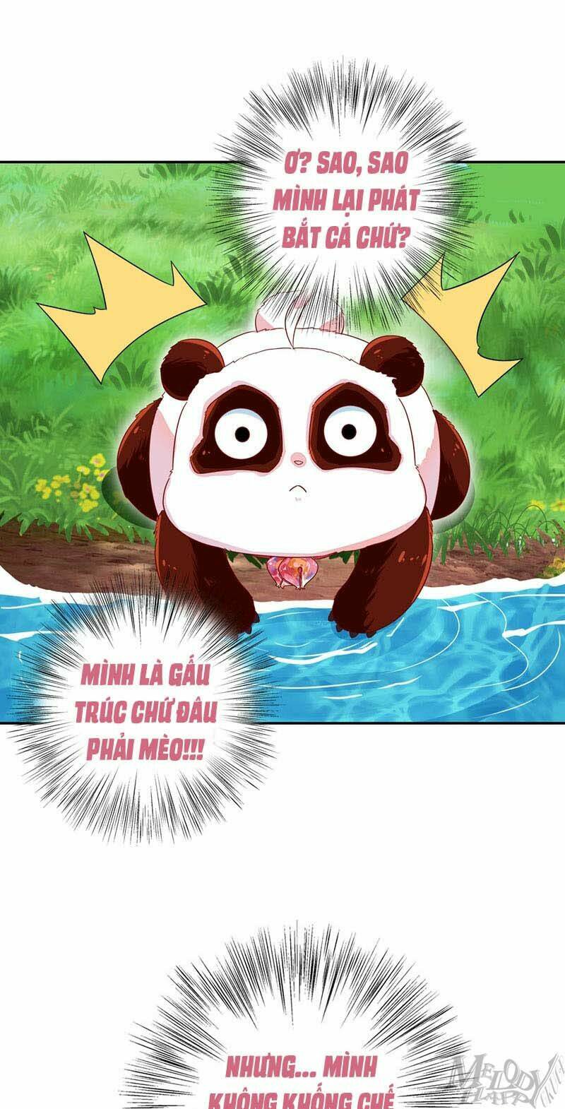 thiên thần gấu trúc muốn được ôm chapter 46 12