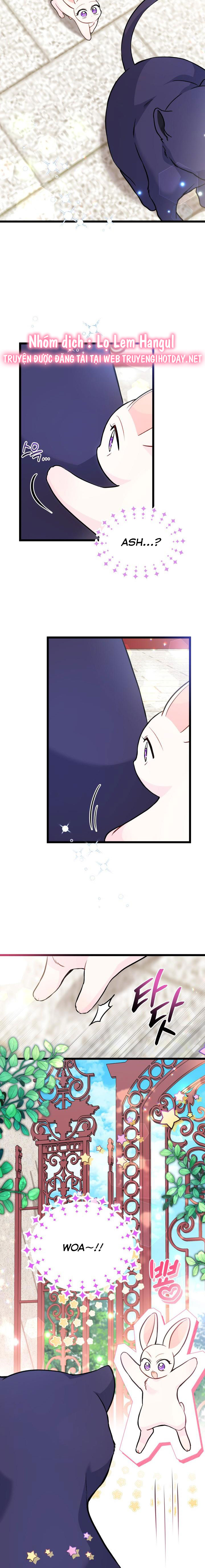 mối liên kết giữa báo đen và bé thỏ chapter 134 16