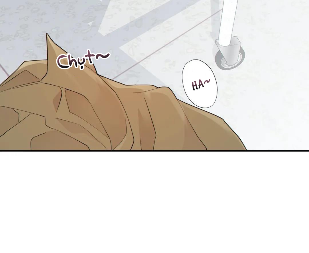 thời gian giữa sói và chó chapter 47 51