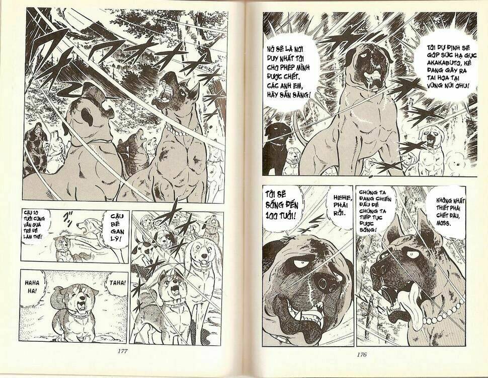 chú chó có nghĩa - ginga nagareboshi gin chapter 16 36