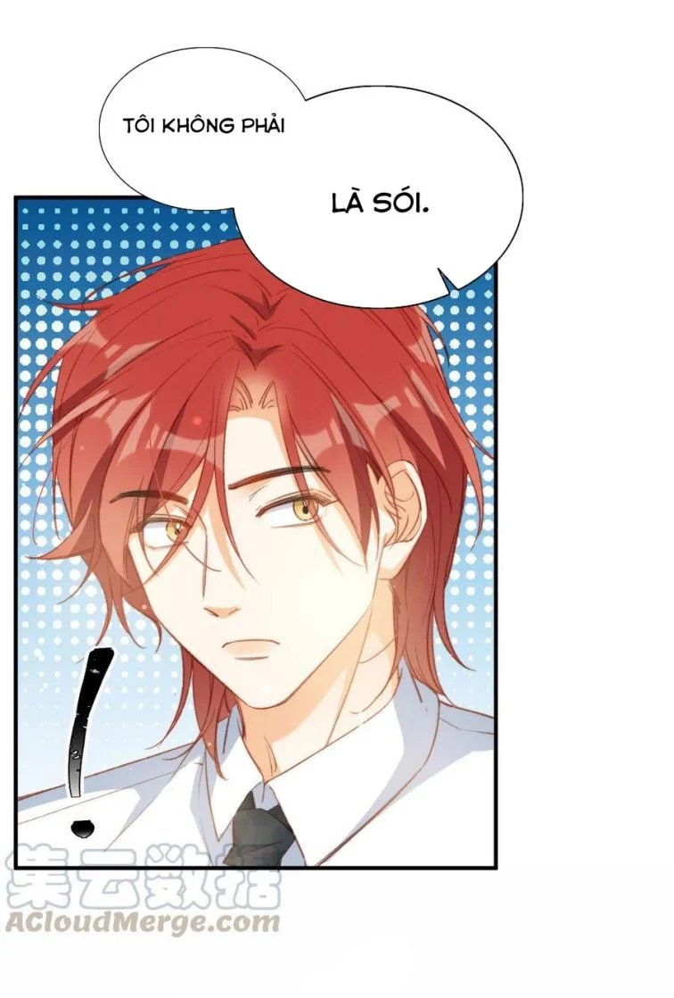 nụ hôn vực thẳm chapter 56 29