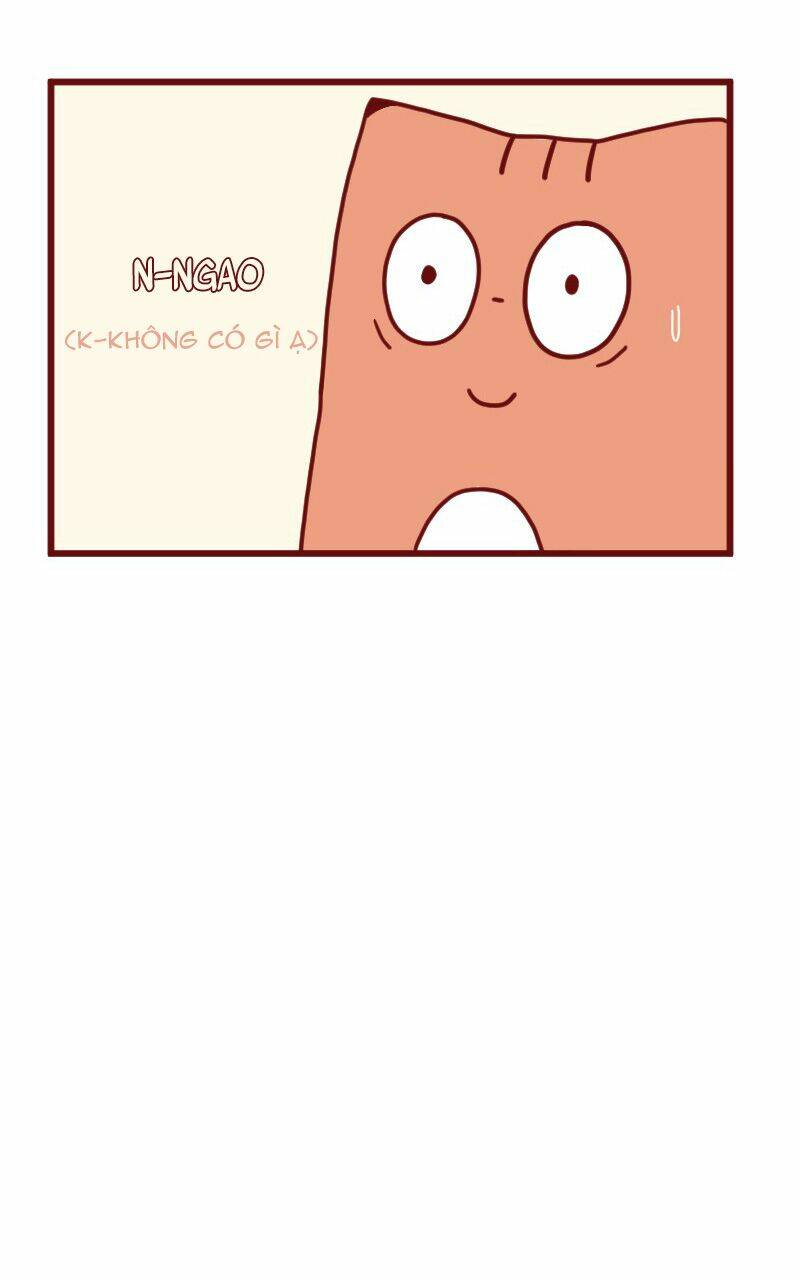 saphie: chú mèo một mắt chapter 14 6