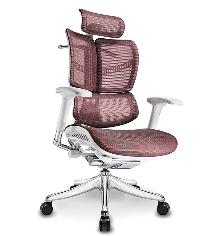 Ghế Văn Phòng Công thái học Ergonomic Vchair Evolution Ergohome, ghế làm việc thiết kế 3 lưng khung siêu chắc, chịu tải 150kg phù hợp cho người vóc dáng to cao, ngả sâu 130 độ, lưới chịu lực tốt - ERGOHOME