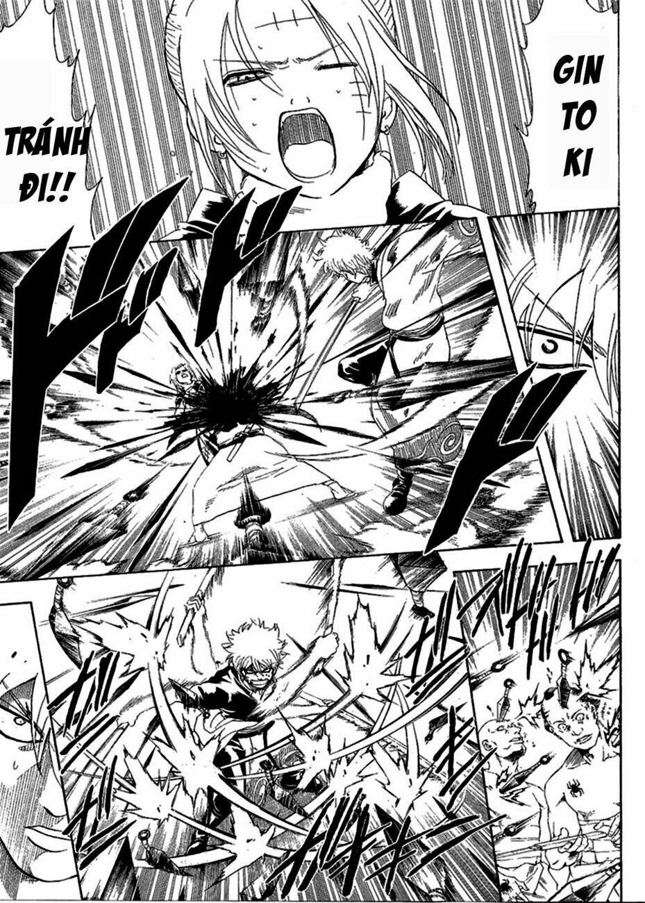 gintama - linh hồn bạc chapter 256 10