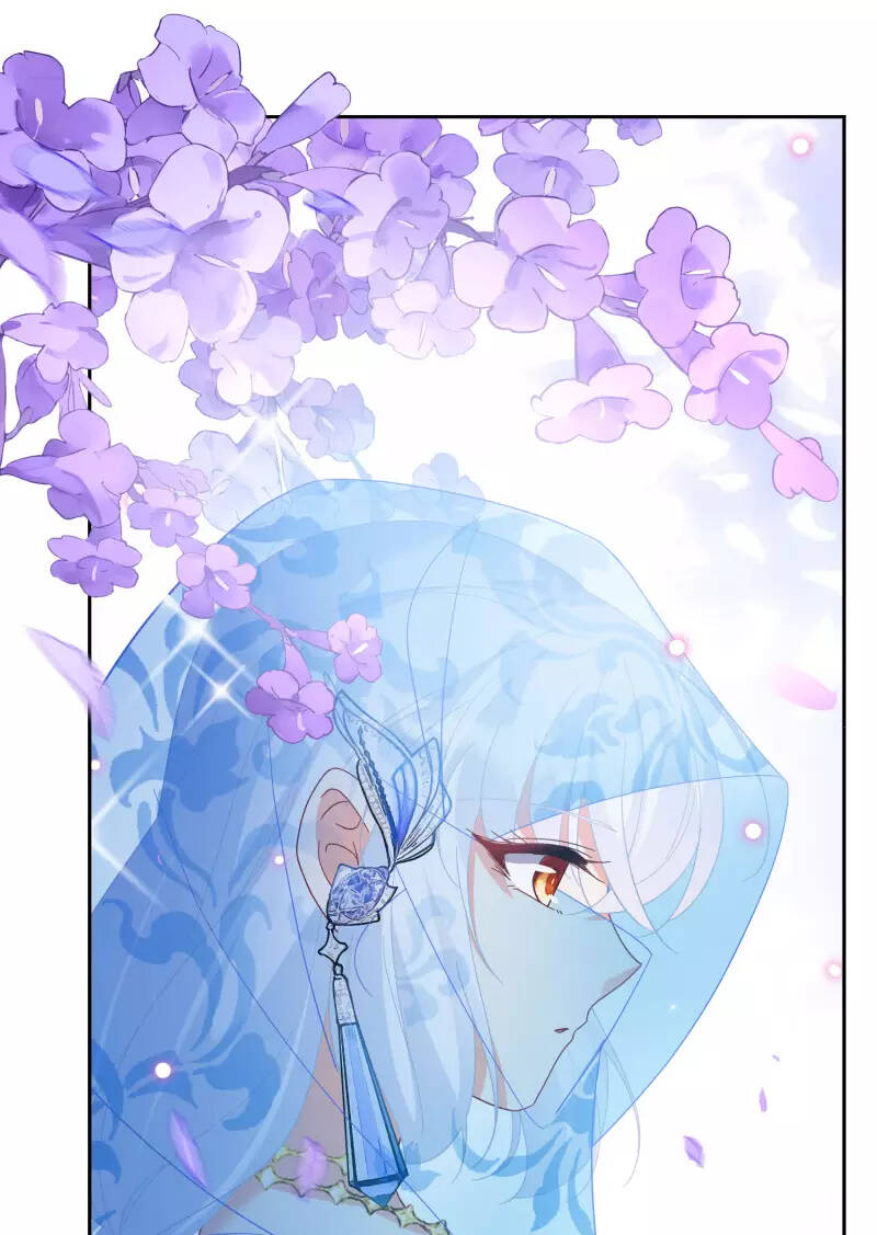 cô ấy đến rồi, xin nằm xuống! chapter 244 12