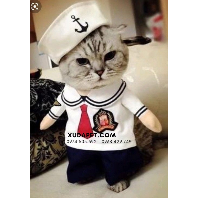 Áo Cosplay Thủy Thủ Cho Chó Mèo - SP006019sailor