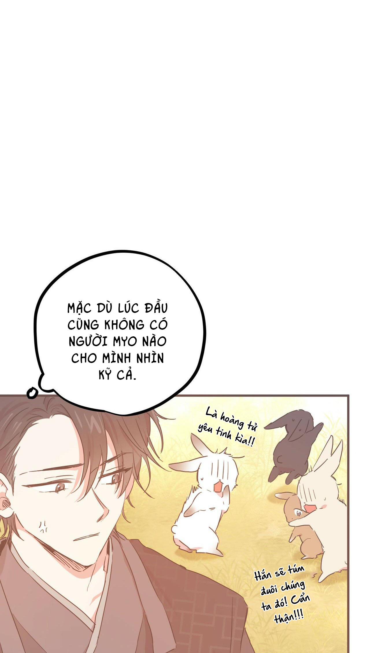 những chú thỏ của hapypy chapter 13 71