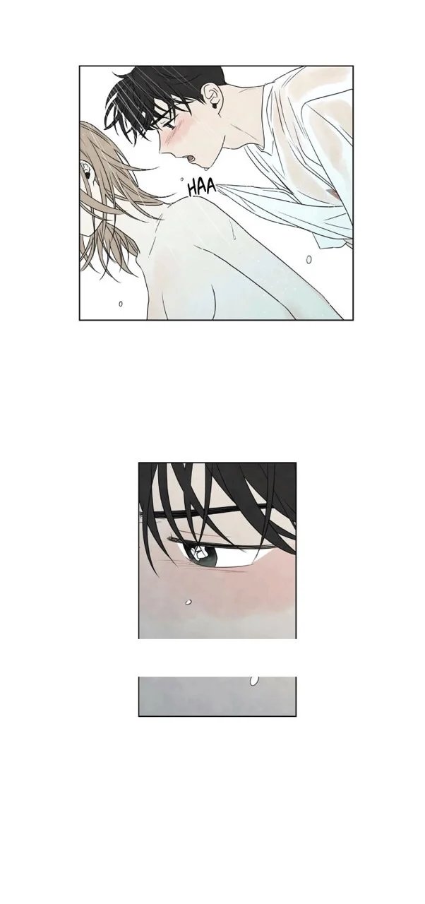 summer solstice point chapter 14 26