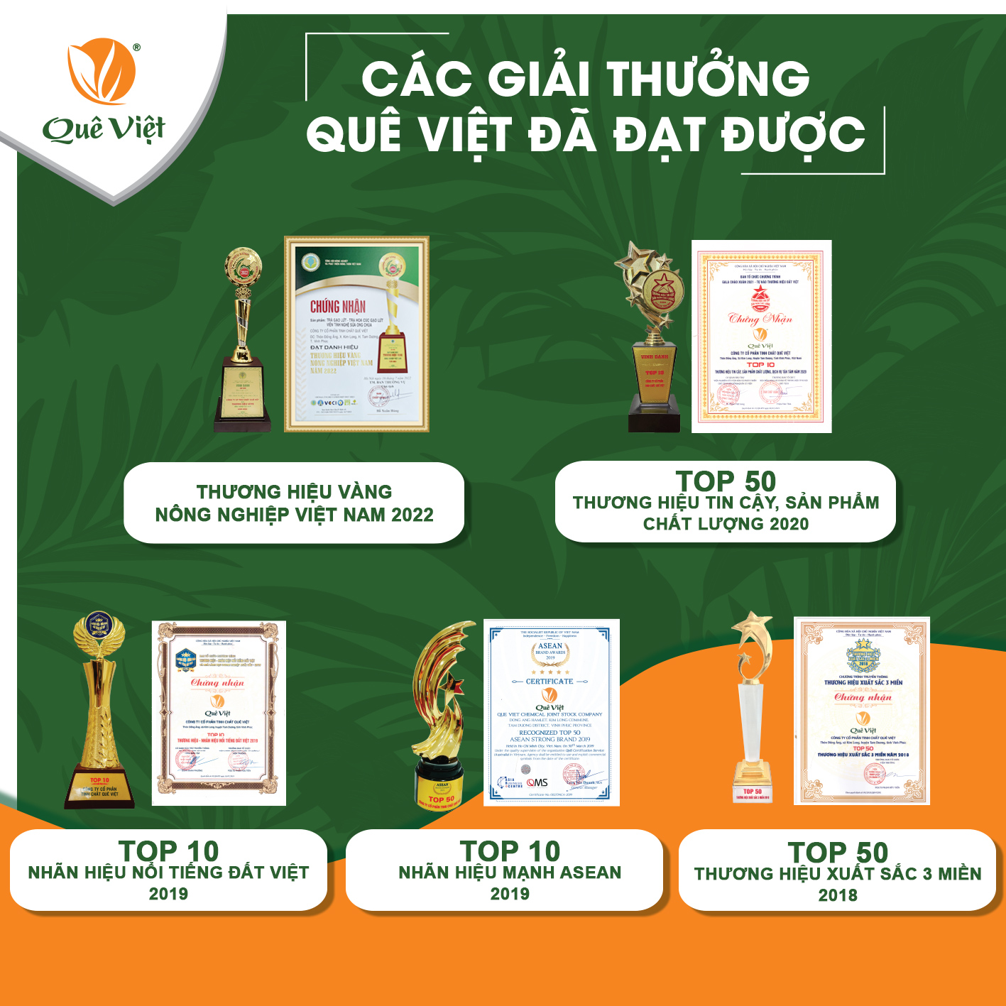 Trà hoa cúc gạo lứt Quê Việt thanh nhiệt, ngủ ngon, điều hoà huyết áp
