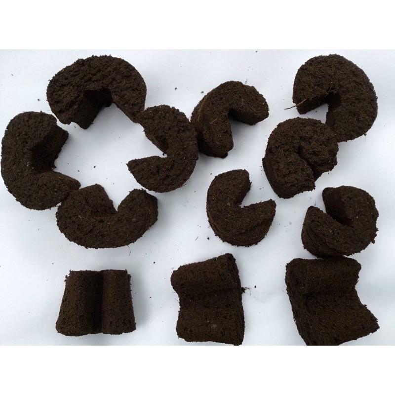 5 Viên Mút Ươm Kie Hữu Cơ Lan Phi Điệp