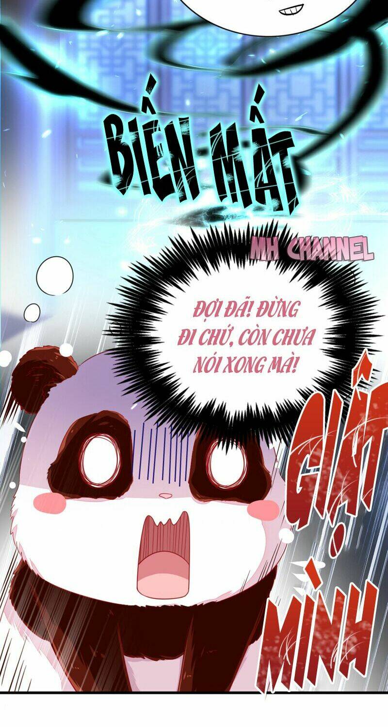 thiên thần gấu trúc muốn được ôm chapter 19 12