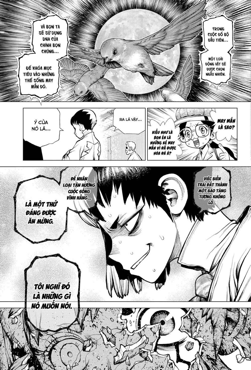 dr.stone - hồi sinh thế giới chapter 229 5