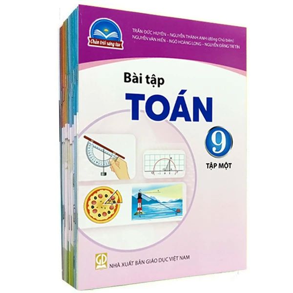 Bộ Sách bài tập Lớp 9- Chân Trời Sáng Tạo (12 quyển- Kèm bìa nilong bao sách)