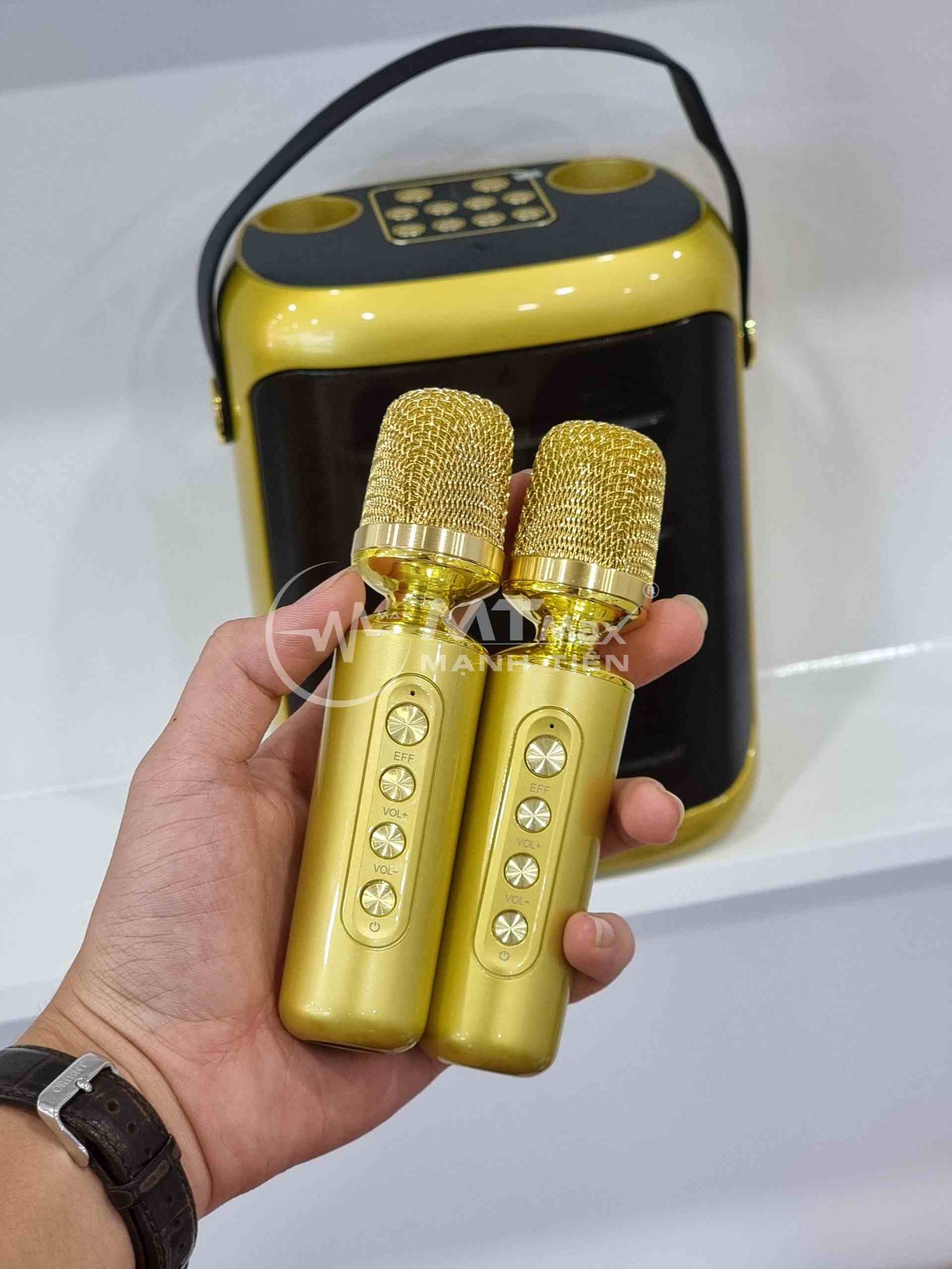 Loa bluetooth có quai xách YS-217 Tặng kèm 2 mic loa còn có hiệu ứng đổi giọng, điều chỉnh echo, reverb