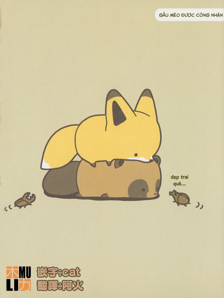 cáo và gấu mèo chapter 4 5