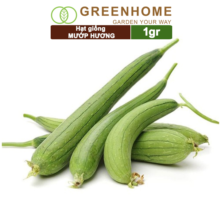 Hạt Giống Mướp Hương Greenhome, Gói 5 Hạt, Dễ Trồng Quanh Năm, Nảy Mầm Cao, Thu Hoạch Nhanh, Năng Suất Cao T16