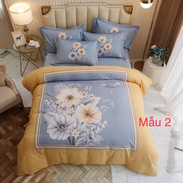 Bộ cotton oragnic 4 món màu sắc mới