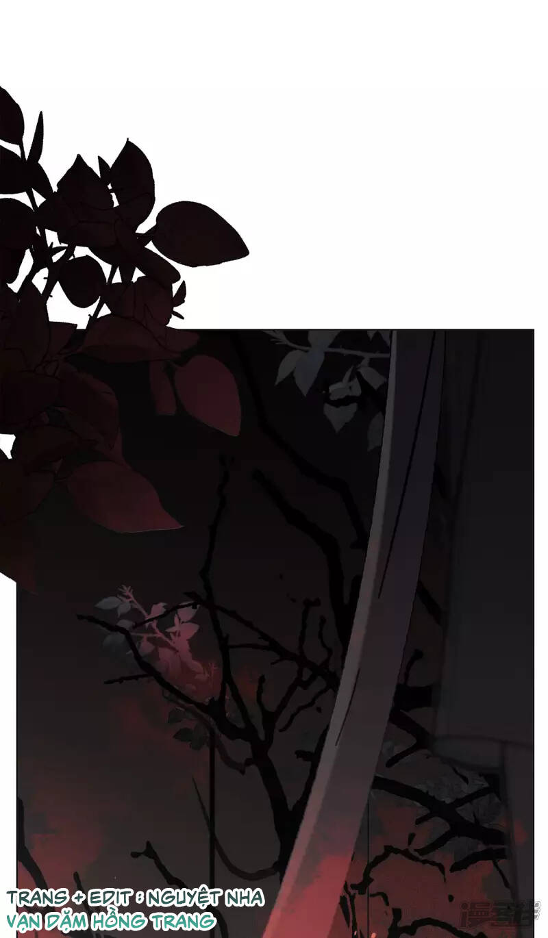 cô ấy đến rồi, xin nằm xuống! chapter 188 19