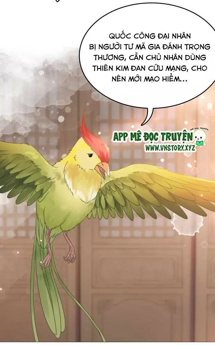 cực phẩm phế vật tiểu thư chapter 109 52