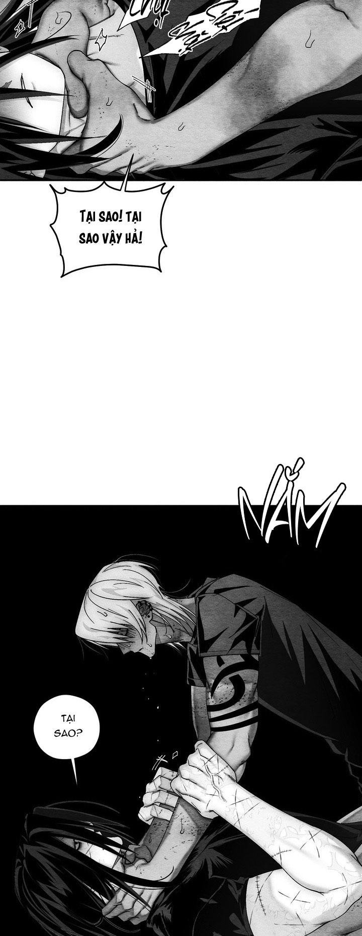 tuyển tập cuồng công - chiếm hữu công của nhà kim chapter 41.4 9