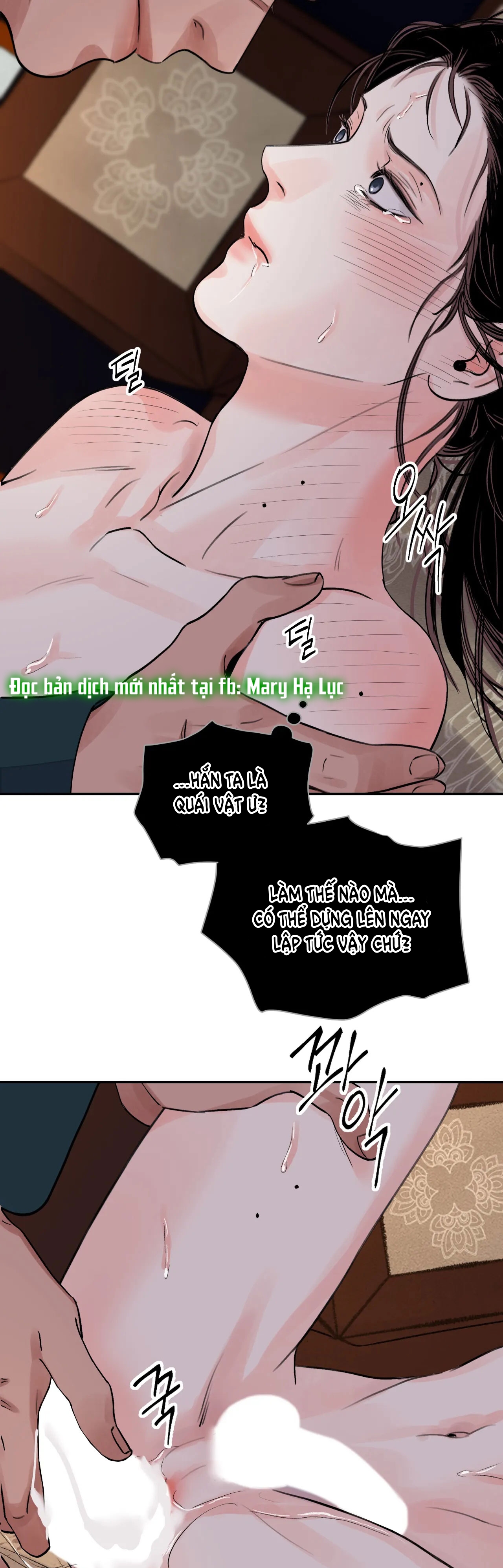 [18+] trượng kiếm tựa hoa chapter 23.2 13