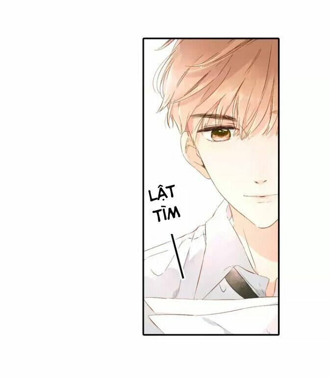 Tình yêu là màu hoa anh thảo chapter 26.2 17