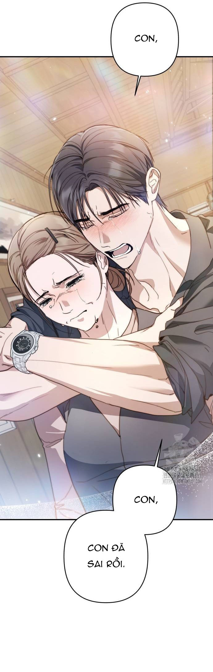 bóng râm mùa xuân chapter 11.2 8