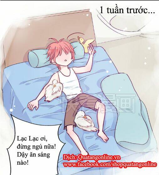 lều khều biết yêu chapter 11 3