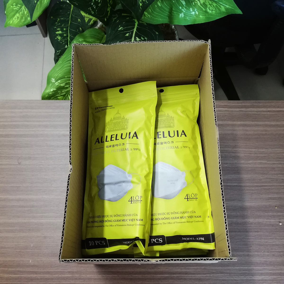 Thùng 300 Khẩu Trang KF94 Công Giáo EcomMed Alleluia