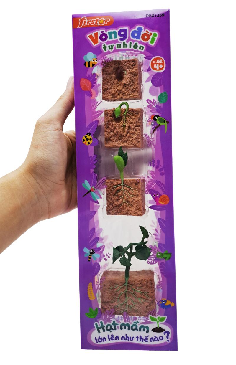 Đồ Chơi Mô Hình Vòng Đời Tự Nhiên - Hạt Mầm Lớn Lên Như Thế Nào? - Firstar DK81259