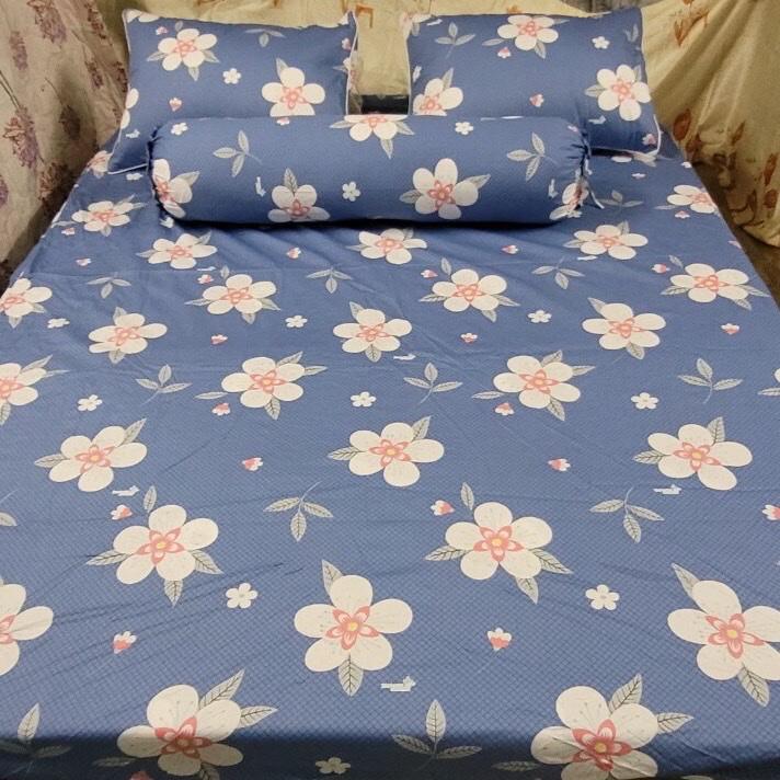 Bộ Drap Cotton THẮNG LỢI 4 món hoặc drap lẻ.