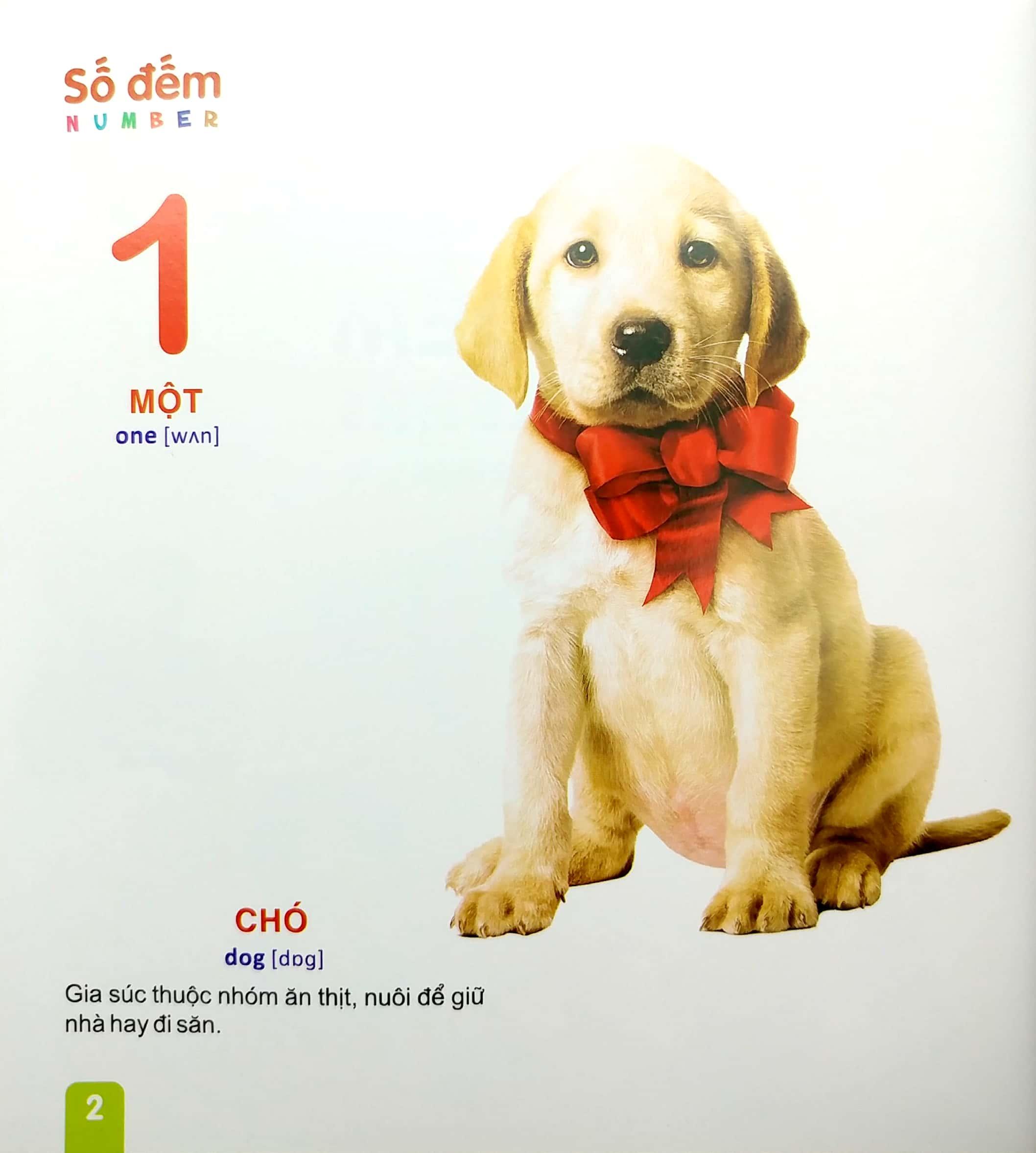 Từ Điển Tranh - Dành Cho Thiếu Nhi: Số Đếm