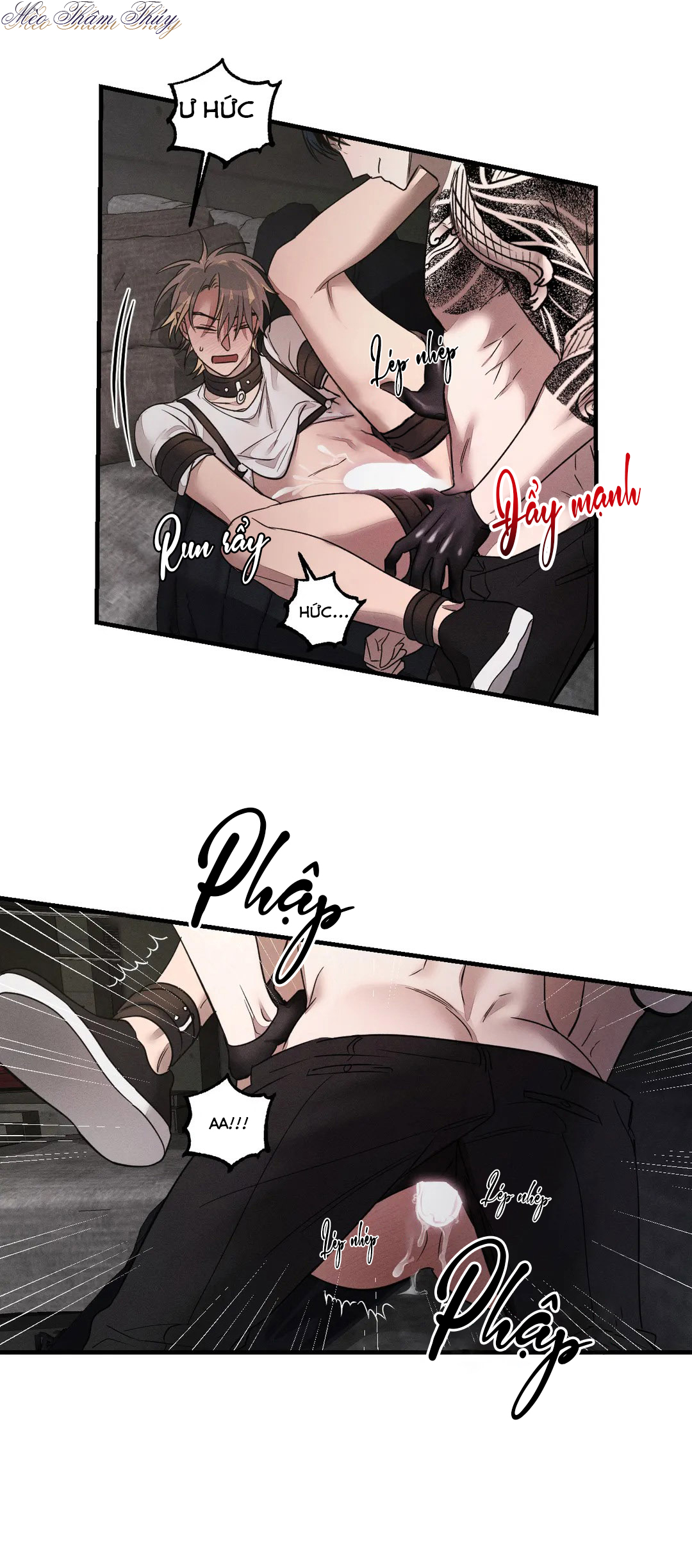 huấn luyện thú cưng chapter 3 21