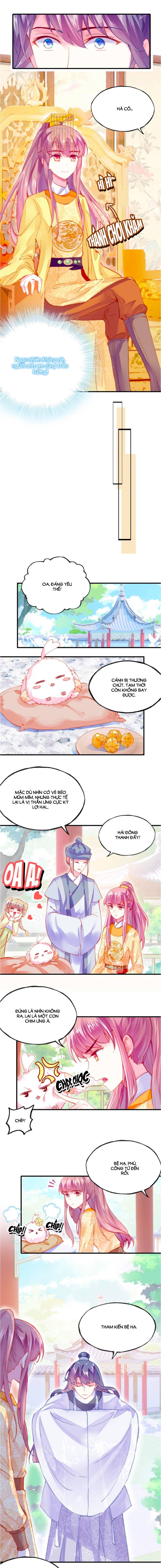 trẫm cũng không muốn quá khí phách chapter 9 2