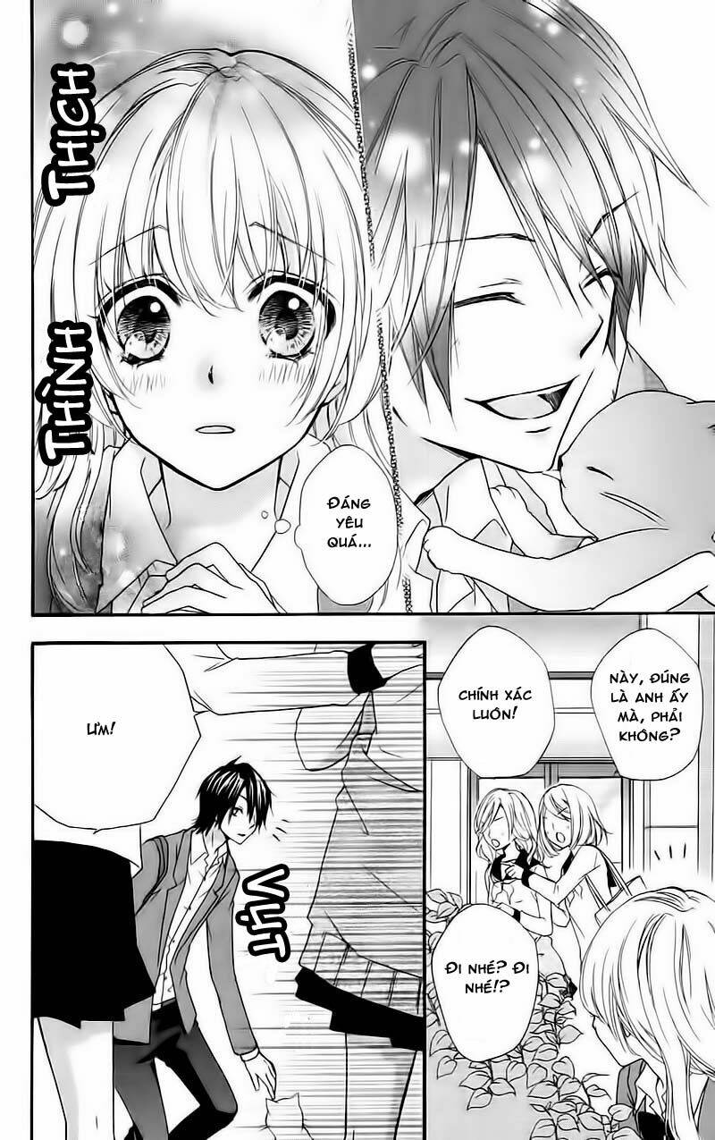 tình yêu của hiyo chapter 14 18